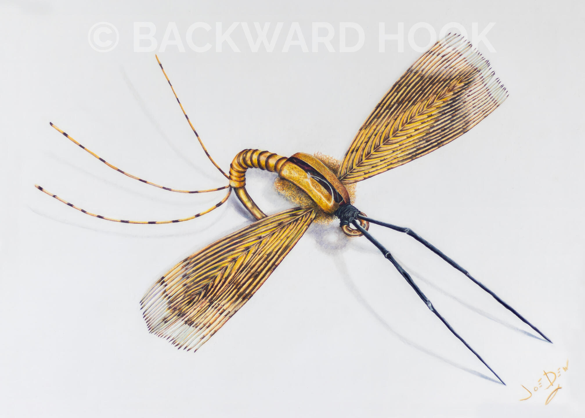 P a r t r i d g e S p e n t 1080 18 * 24